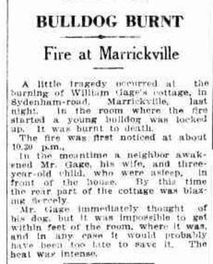 Newspaper clipping headed “Bulldog Burnt”, reporting a fire at a cottage in Sydenham Road, Marrickville.