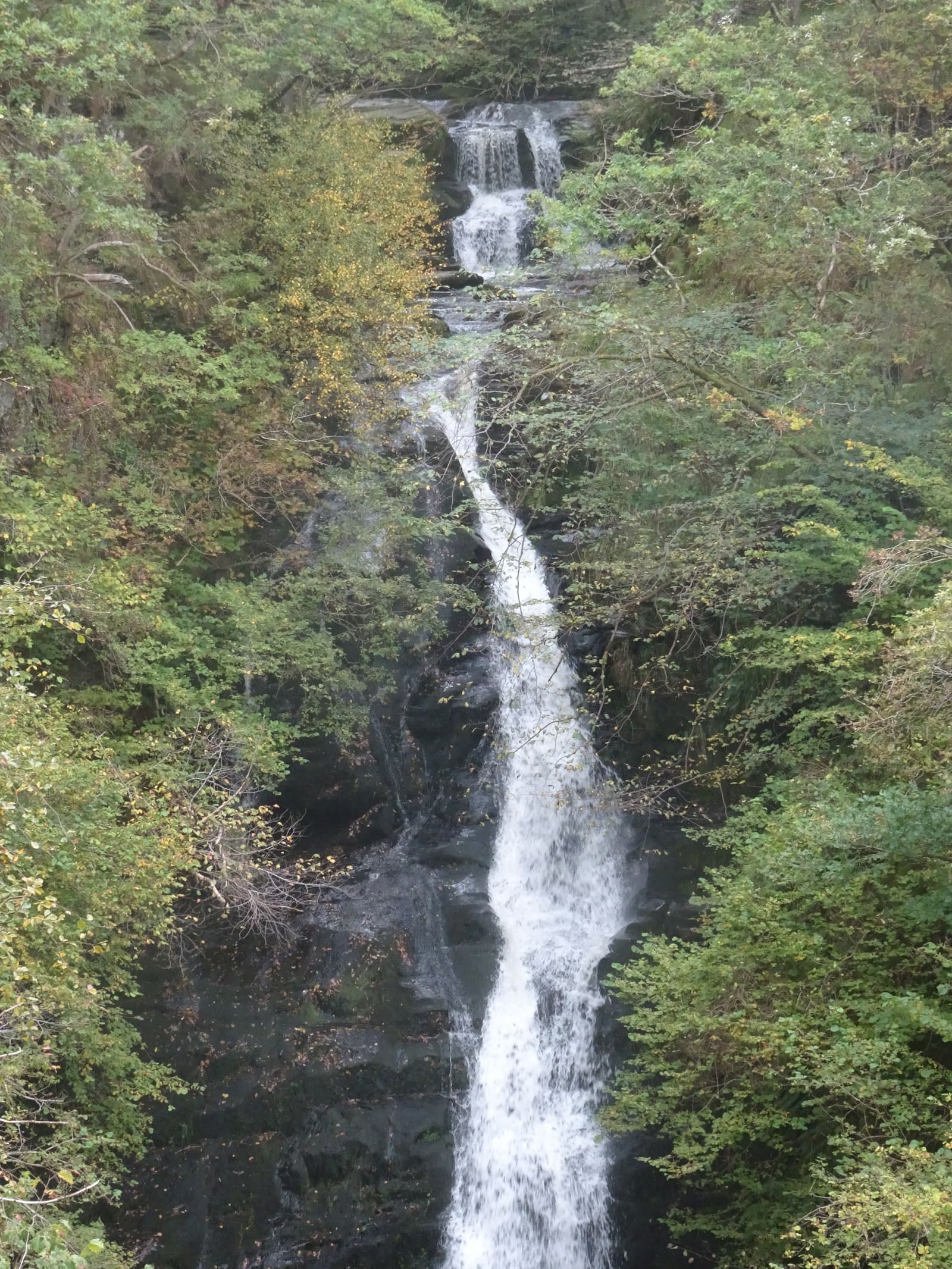 A tall waterfall cascading through a narrow, wooded rocky gorge.